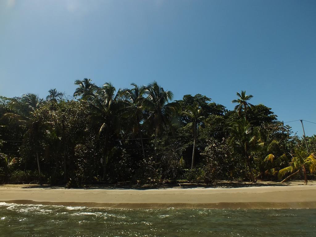 Cabinas Caribe Luna 卡维塔 外观 照片