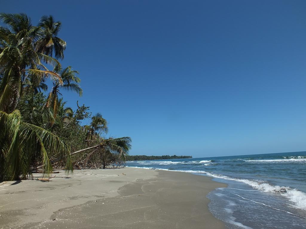 Cabinas Caribe Luna 卡维塔 外观 照片