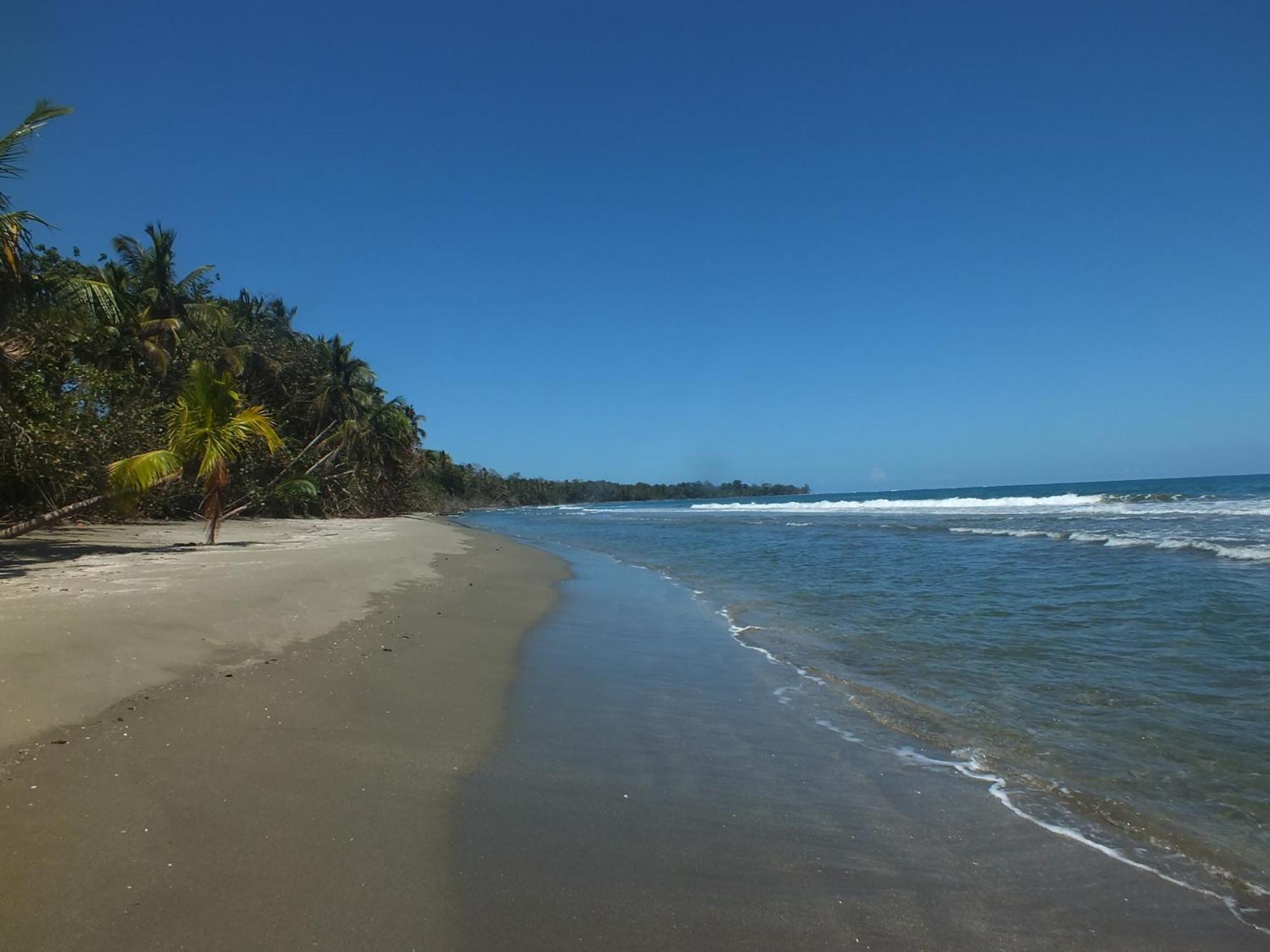 Cabinas Caribe Luna 卡维塔 外观 照片