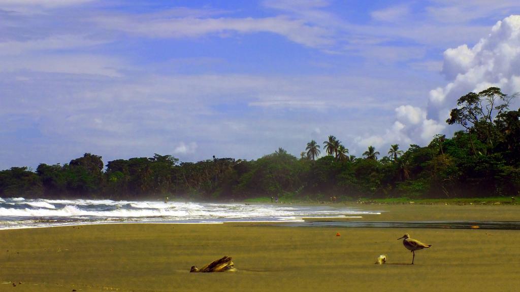 Cabinas Caribe Luna 卡维塔 外观 照片