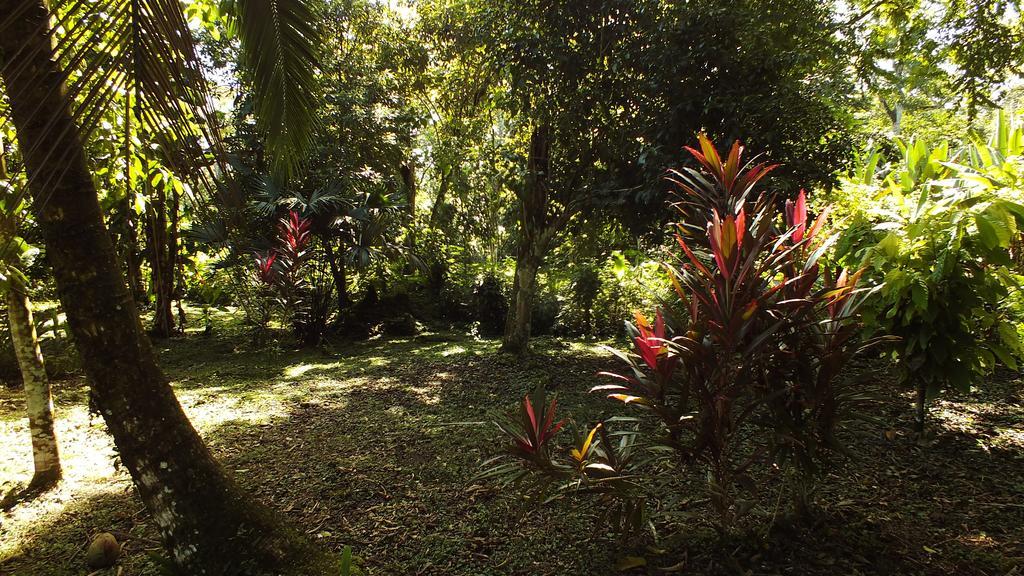 Cabinas Caribe Luna 卡维塔 外观 照片
