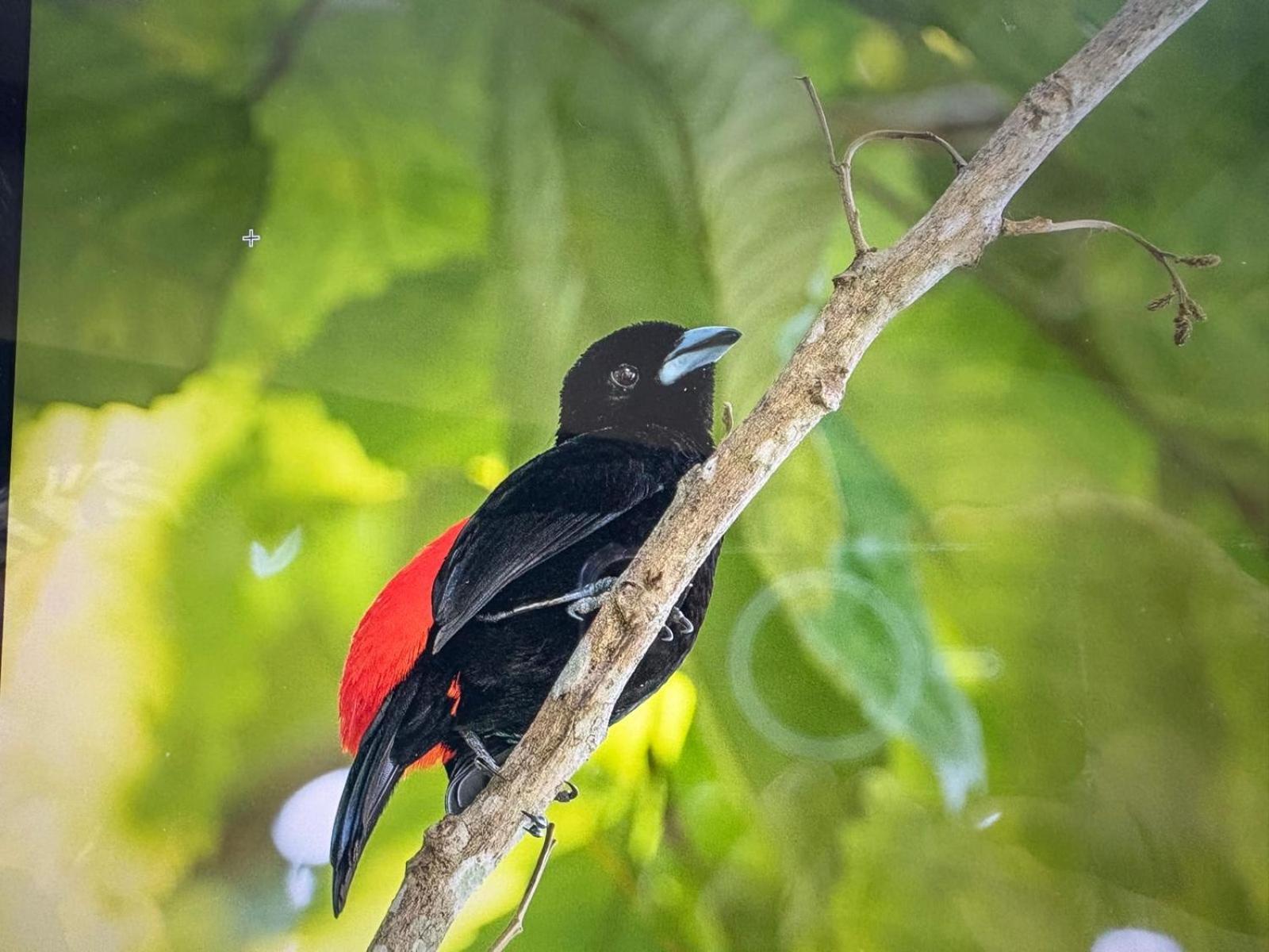 Cabinas Caribe Luna 卡维塔 外观 照片