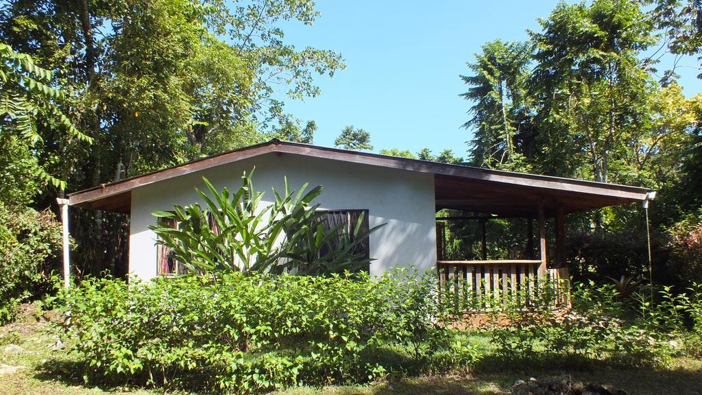 Cabinas Caribe Luna 卡维塔 外观 照片